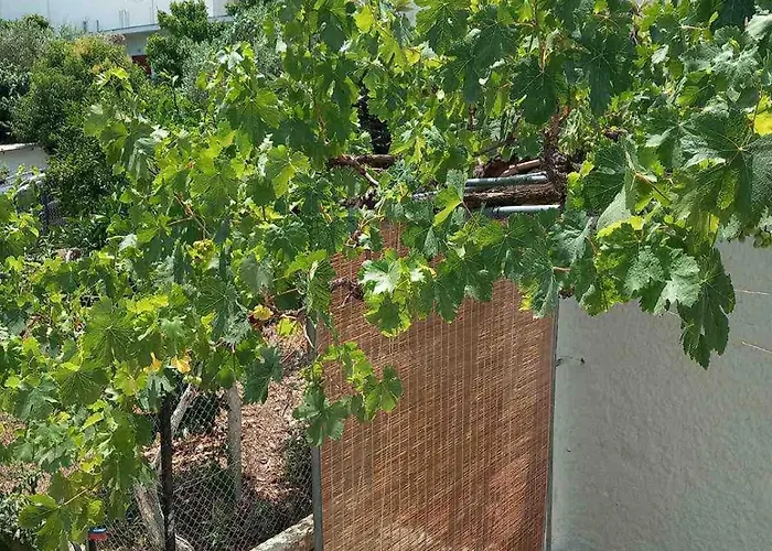 Mytzela בית נופש *