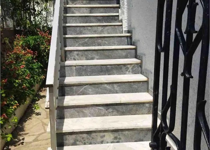 Mytzela אמליאפולי