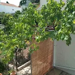 Mytzela Ferienhaus *